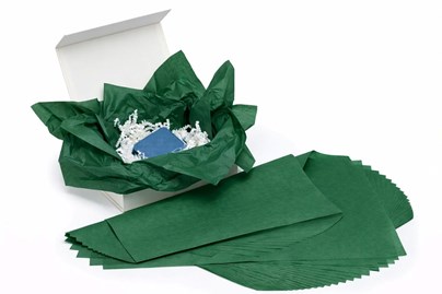 Bibuła gładka zielona leśna 50x70 cm 100 arkuszy Pantone 349 C