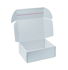 Karton wykrojnikowy 350x250x50mm F427 Biały z paskiem kleju