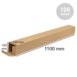 Pakiet - Karton wykr. 1100x120x120mm B0 - 100szt