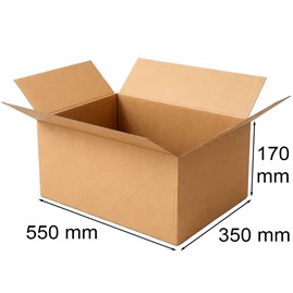 Karton Klapowy 550x350x170mm B360