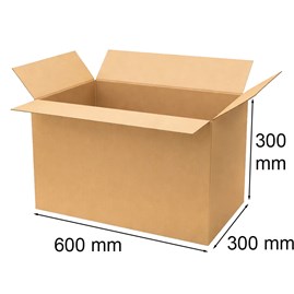 Karton klapowy 600x300x300mm