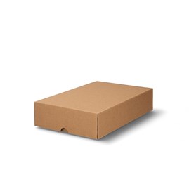 Pudełko wykrojnikowe 350x200x100 mm karton brązowy z wieczkiem