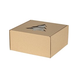 Pudełko świąteczne 200x200x100mm EKO CHOINKA F427