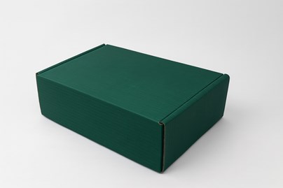 pudełko zielone, karton fasonowy, karton wykrojnikowy, F427 fala B, karton Pantone 3435C