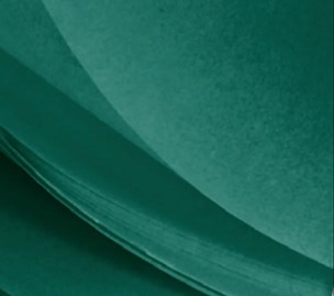 Bibuła Gładka Silk 50x75cm Zielona, 240ark