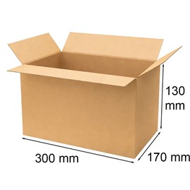 Opakowanie klapowe 300x170x130mm