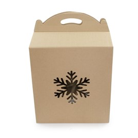 Pudełko karbowane z oknem F217 300x180x350mm (ŚNIEŻKA) EKO