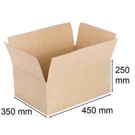Karton pocztowy 450x350x250mm 5w Biznesowa L