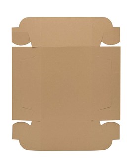 Karton wykrojnikowy 320x220x130mm na buty