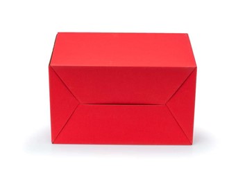 Pudełko z uchwytem 300x180x220mm czerwone F217