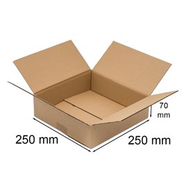 Karton Klapowy 250x250x70mm
