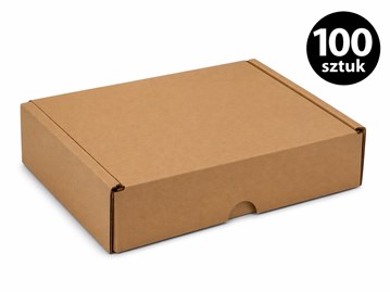 Karton wykrojnikowy 250x250x80 mm FEFCO 427 100 szt