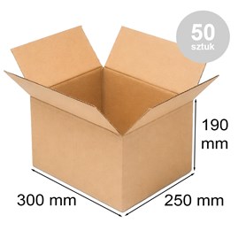 karton klapowy brązowy 300x250x190 mm 50 sztuk