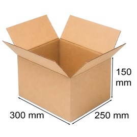 Karton pocztowy 300x250x150mm Biznesowa S
