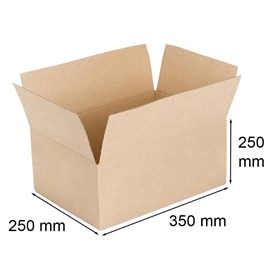 Karton klapowy 350x250x250mm A4