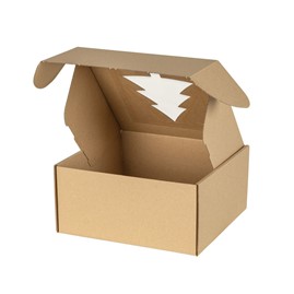 Pudełko świąteczne 200x200x100mm EKO CHOINKA F427