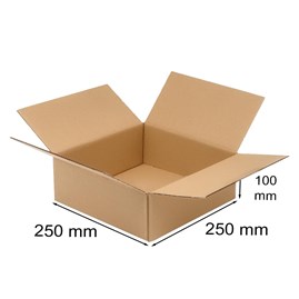 Karton Klapowy kwadrat 250x250x100mm Fala B360