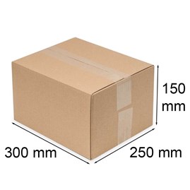 Karton pocztowy 300x250x150mm Biznesowa S
