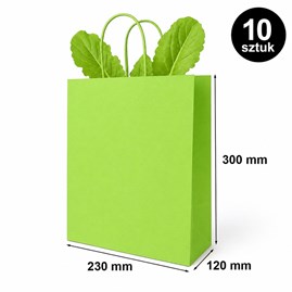 Torba prezentowa 230x120x300 mm zielona 10 szt