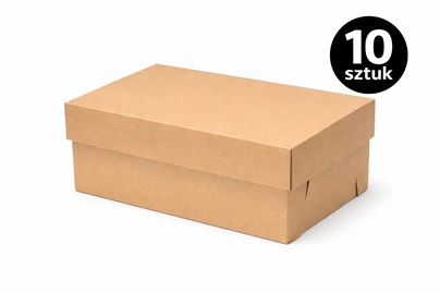 Karton wykrojnikowy pudełko na buty 320x220x130 mm 10 szt