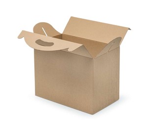 Pudełko z uchwytem 300x180x220 karbowane F217