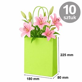 torba papierowa zielona 180x80x225 mm 10 sztuk