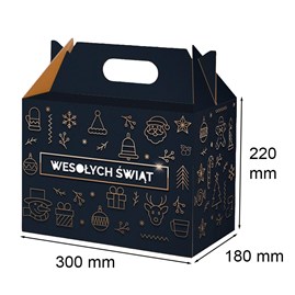Karton świąteczny F217 300x180x220mm PS121 Z-1