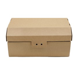 Karton Karbowany Kufer z Pokrywką 320x200x100 mm Eko Box