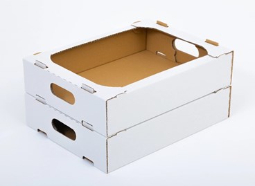 Tacka na pączki warzywa owoce 400x300x80mm B400 F436 Biały